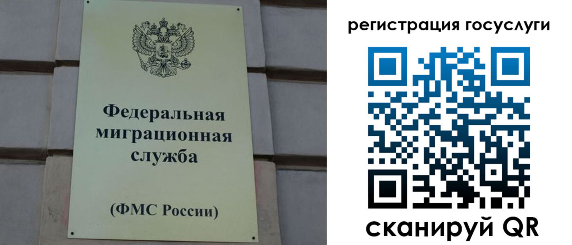 временная регистрация поиск в Юрьев-Польском